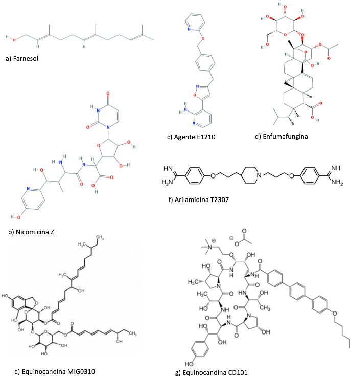 Estructura química de los nuevos fármacos con propiedades antifúngicas.