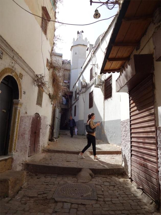 View on the Safir Mosque and its minaret, located at the Kasbah of Algiers
