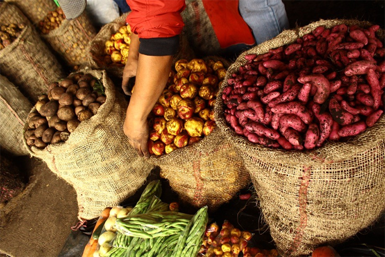 Campesinos de la comunidad indígena Misak comercializando sus productos en la Plaza de Mercado. Silvia, Colombia