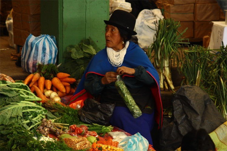 Integrante de la comunidad indígena Misak comercializando sus productos en la Plaza de Mercado. Silvia, Colombia
