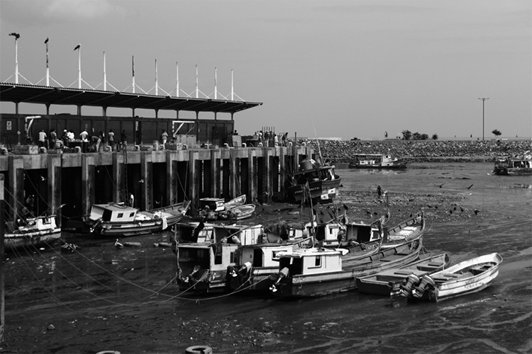 Zona de descarga. Mercado de mariscos. Ciudad de Panamá, Panamá