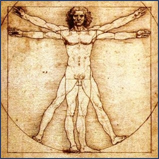 Hombre de Vitruvio. Da Vinci, 1490