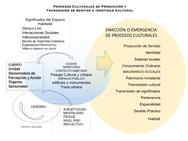 Procesos de transmisión cultural