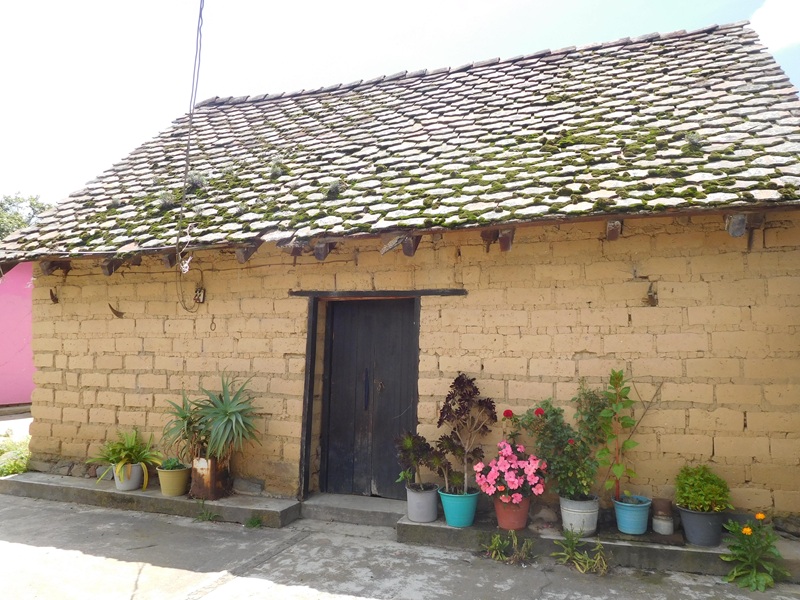 Cubierta de teja plana orlada roja recocida apoyada sobre la armadura de vigas
de madera