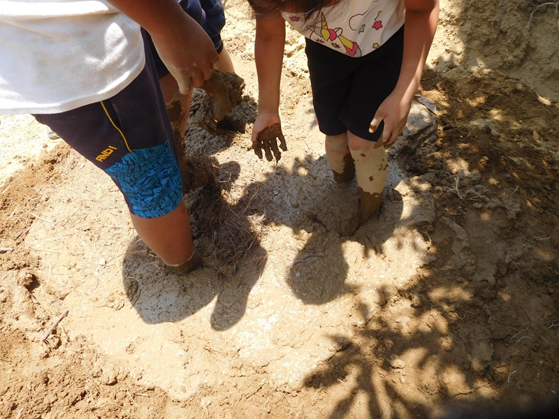 Familia
bailando el lodo: tierra amarilla, agua, ceniza y barba de ocote