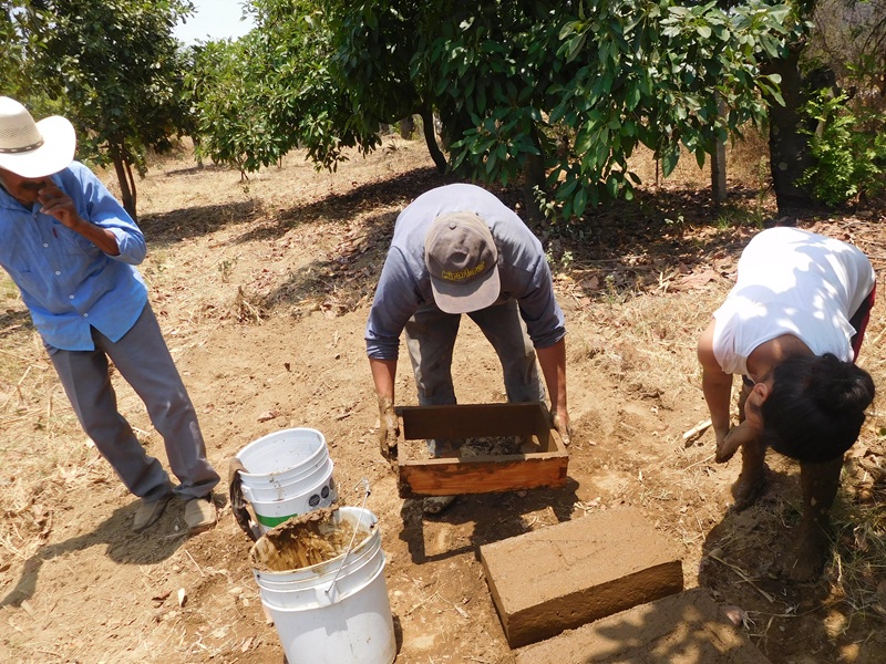 Elaboración
de adobes, una práctica tradicional familiar