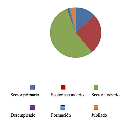 Sectores
de actividad de los encuestados