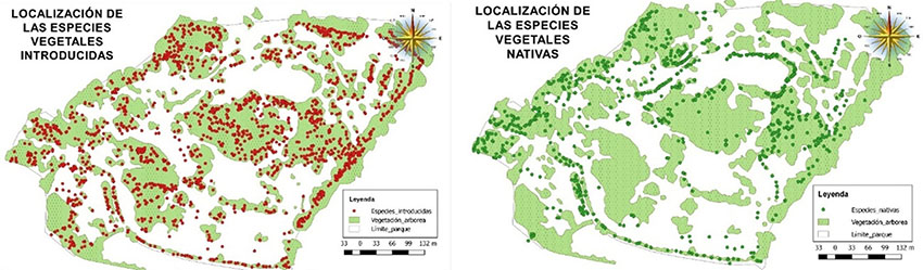 Ubicación especies vegetales en el Parque Arqueológico.