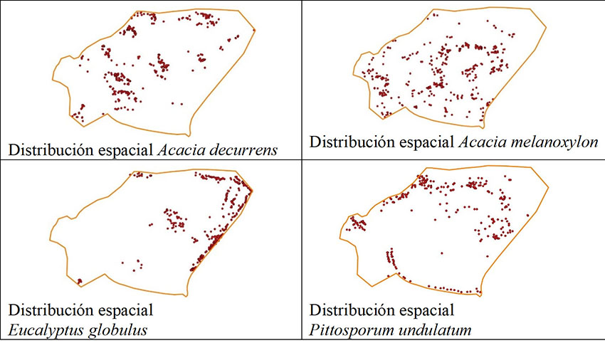 Distribución espacial especies exóticas.