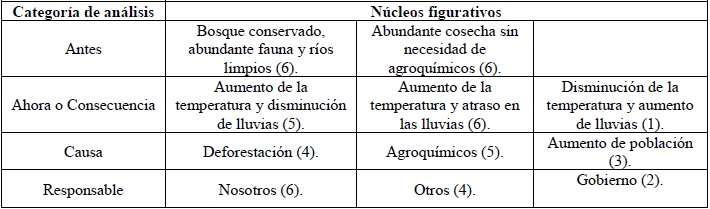 Núcleos figurativos, entre paréntesis se
reporta la frecuencia absoluta observada
