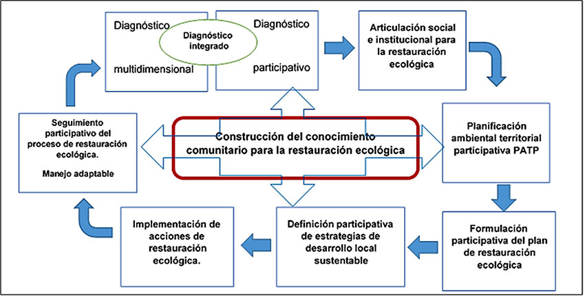 Modelo metodológico de
restauración ecológica como estrategia de construcción social para el
desarrollo sustentable propuesto para la vereda Chipautá, Guaduas
(Cundinamarca).