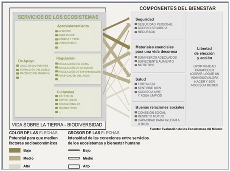 Relaciones entre servicios ecosistémicos y bienestar humano