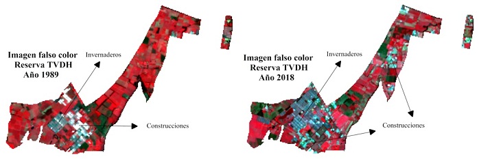 Imágenes en composición de falso color estándar