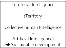 Definition of territorial intelligence