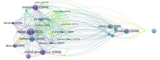 Mapa de redes de autores