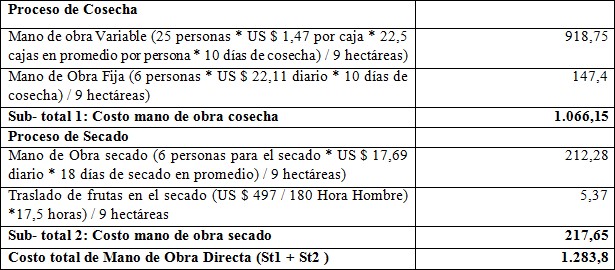 Estructura de costos de Mano de Obra
Directa del kilo de Ciruela Deshidratada*
