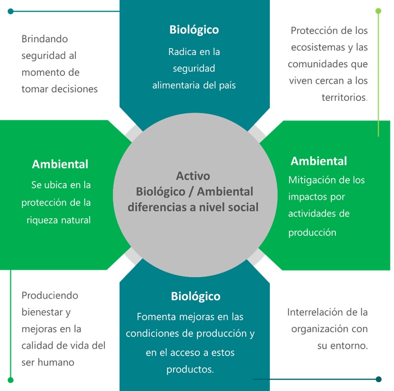 Impacto social entre el activo ambiental y
biológico