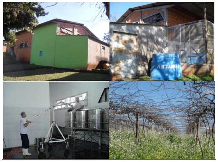 Viry Juice Industry and organic gape vine