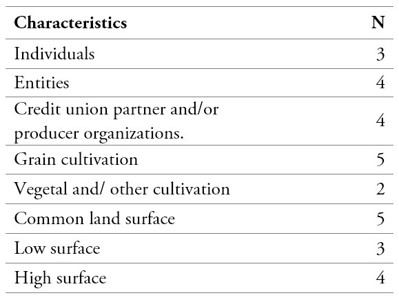 Characteristics of the respondents (N=7)