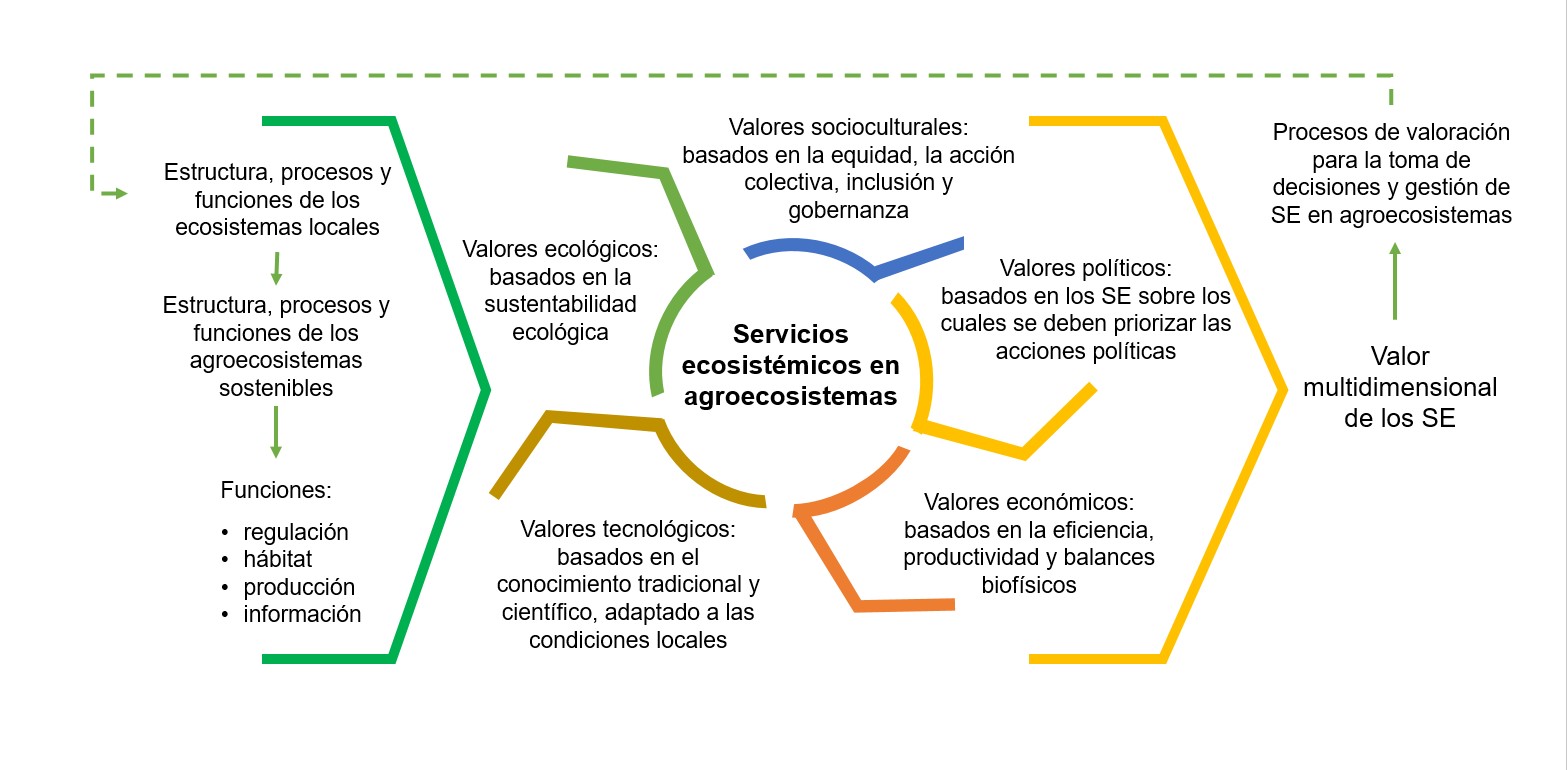 Valoración multidimensional de SE en agroecosistemas