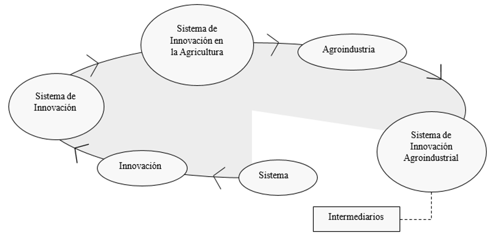 Desarrollo del marco conceptual