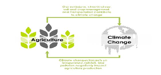 Agriculture and climate change
