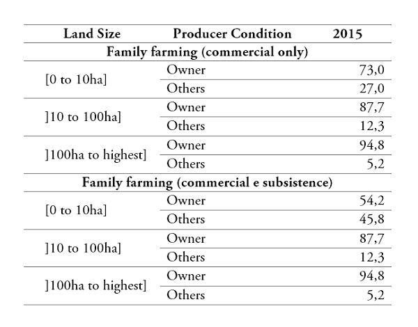 Distribution (%) of rural households in family farming (commercial and self-consumption), according to producer condition and area size range: Rural North, 2015