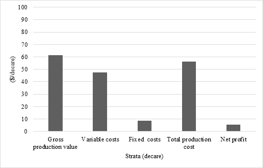 Income and expenses in Wheat Cultivation