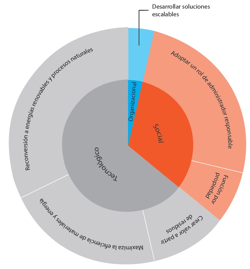 Resultado de codificación de información del caso comercial
correspondiente a cada AMNS