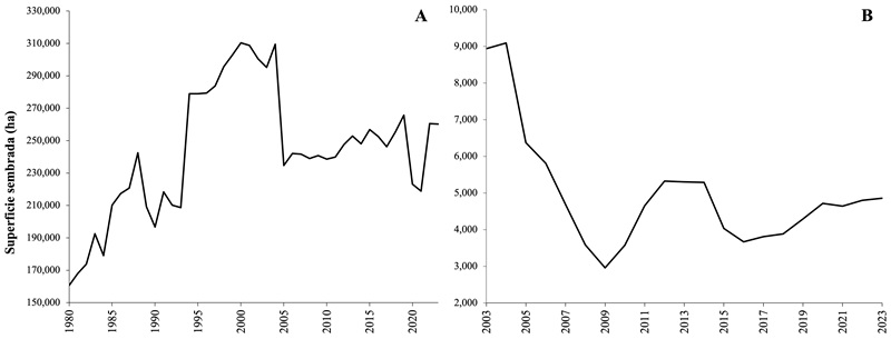 Evolución de la superficie agrícola sembrada en Tabasco
(A) y en el municipio de Centro (B)