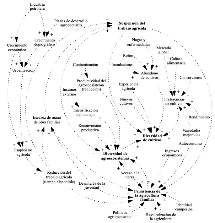Diagrama de
relaciones entre variables del cambio agrícola y social en la agricultura
familiar del municipio de Centro, Tabasco