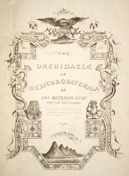 Portada del libro The Orchidaceae of Mexico and Guatemala de James
Bateman
