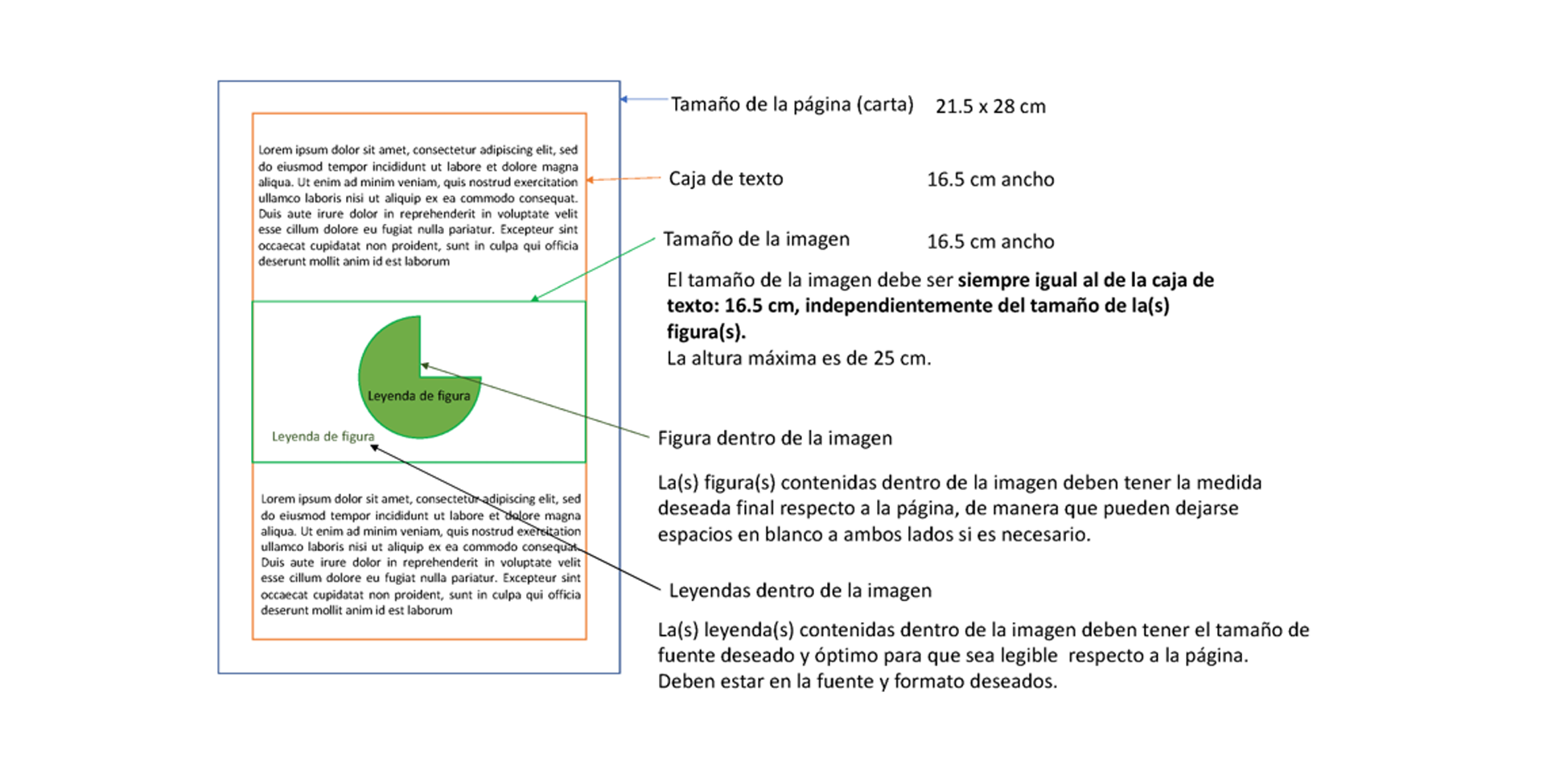 
Lineamientos para gráficos complementarios
