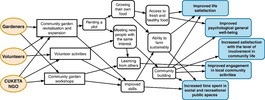 Community Garden
solutions theory of change related to health and well-being