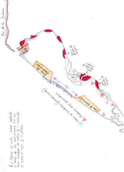 Perspectiva de transformaci&oacute;n del territorio (grupo focal I)