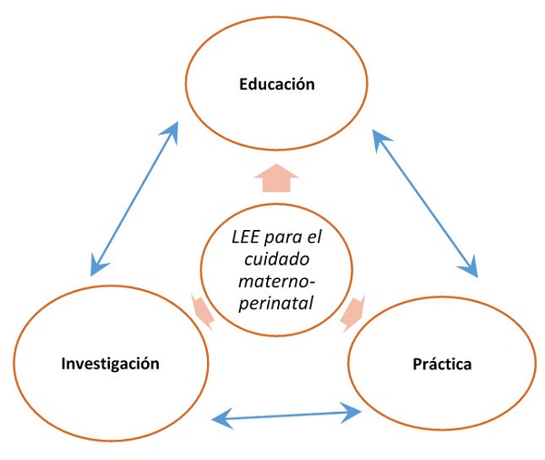 Modelo Educación, Práctica
e Investigación (EPI)