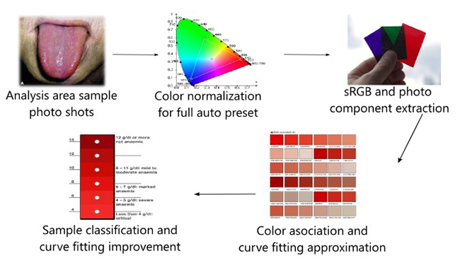 Overview of color model generation after executing equation 1, of curve fitting modelsection