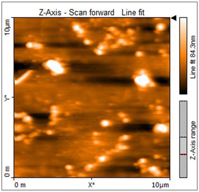 Figure 1. AFM images of chromium films of different thicknesses