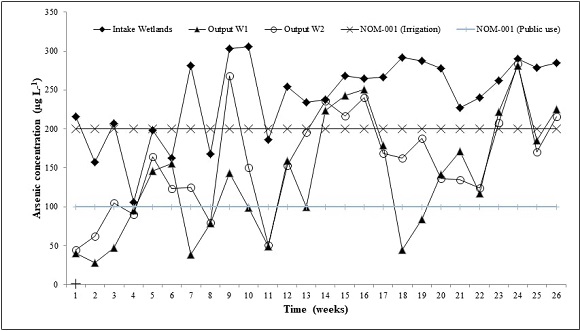 Arsenic concentrations in W1 and W2 intake and output waters