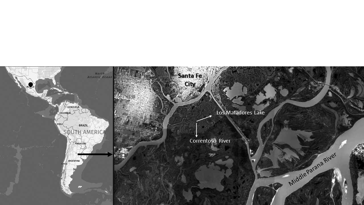 Localization of the sampling sites in the Middle Parana River floodplain