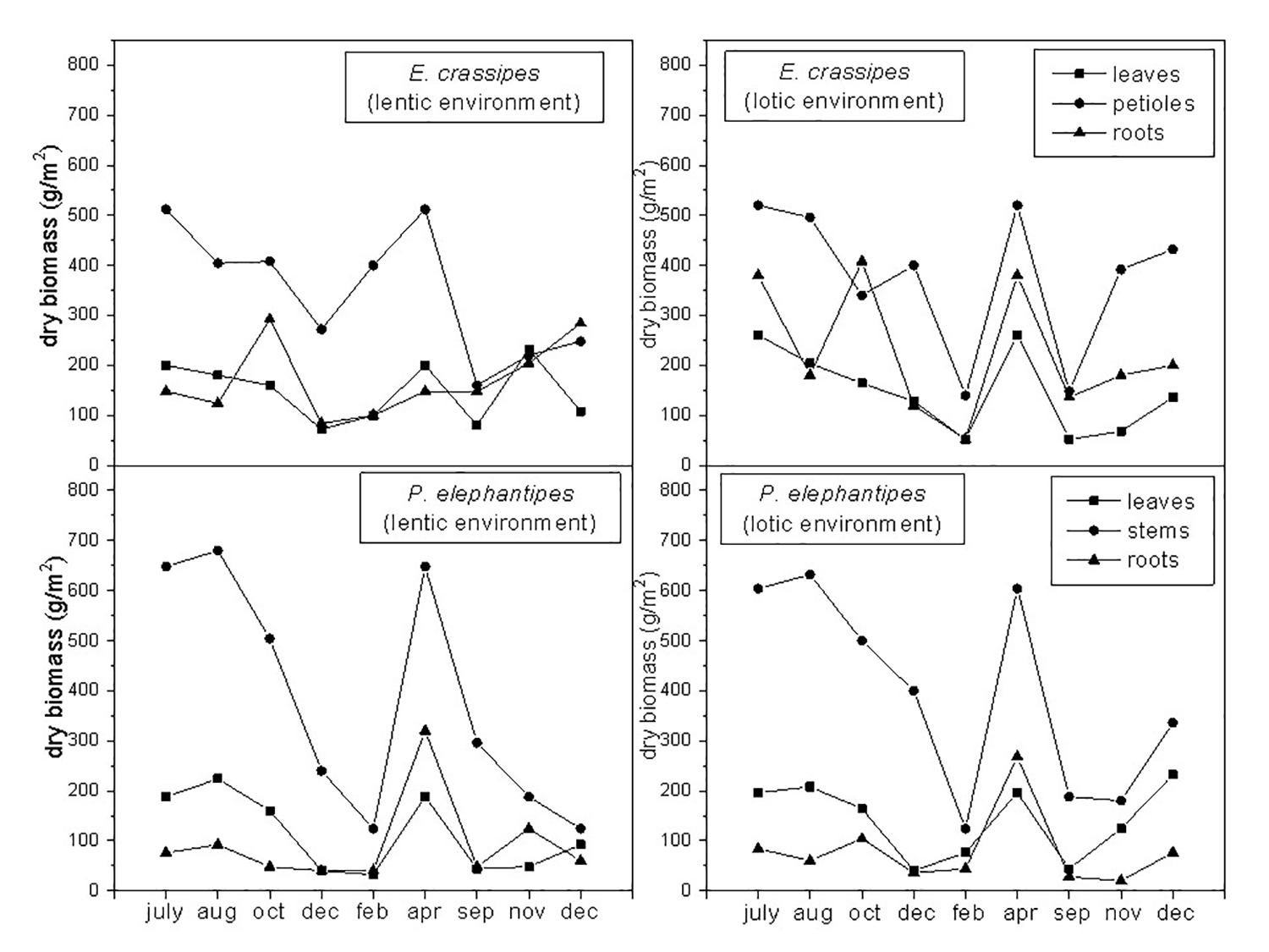 Dry biomass (g/m2) measured in E. crassipes and P. elephantipes during the study