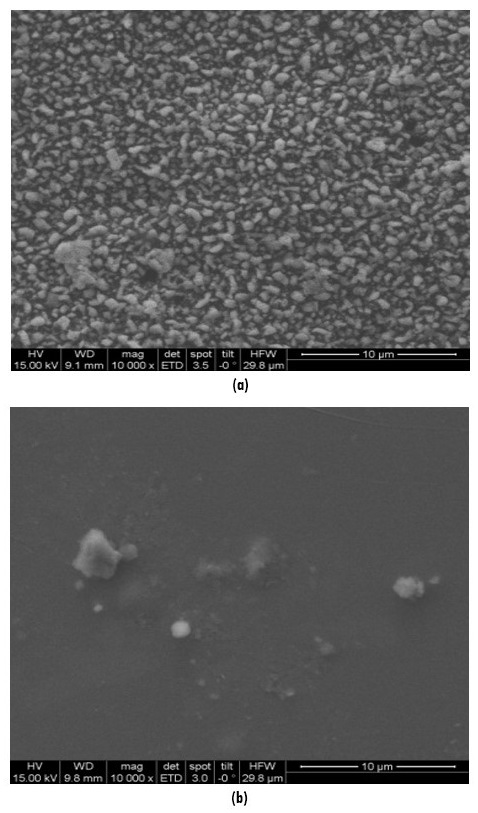 (a) SEM images of Se thin films of magnification 10,000 for thicknesses 157 nm, (b) SEM images of Se thin films of magnification 10,000 for thicknesses 210 nm