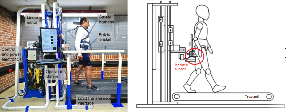 Ischiatic body weight support system (IBWS). Left: Photograph. Right: Scheme