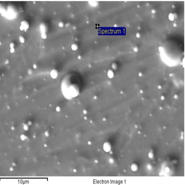 Photomicrograph of the substrate surface implanted Ti