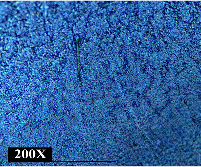 Optical microscopic image of CuCoMn coating (S1:CuCoMn) at 200X