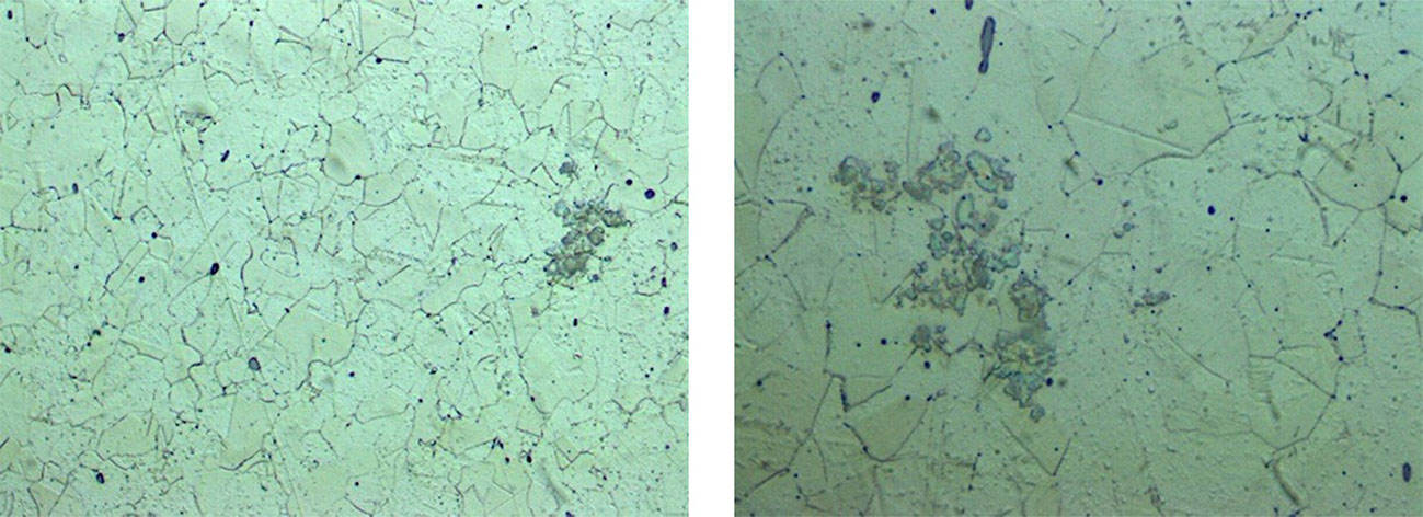 Micrographics before the immersion (a)100x (b) 500x