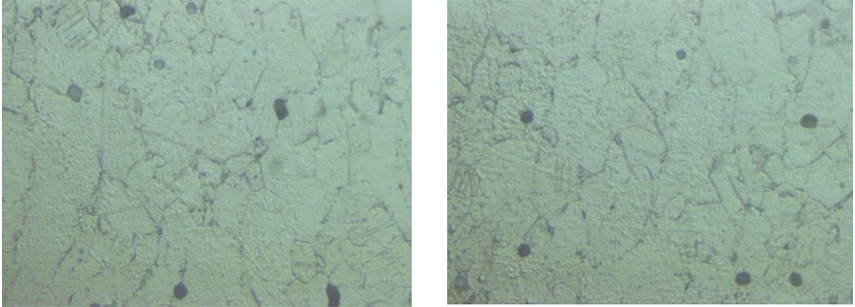 Micrographics after the immersion test. (a)100x (b) 500x