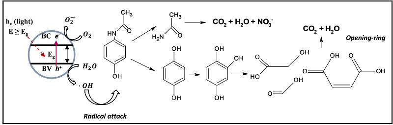 Proposed mechanism by adapting the reported pathways of the photocatalytic degradation of acetaminophen.
