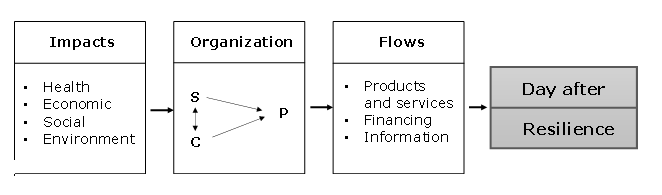Model of “Industrial Organization”