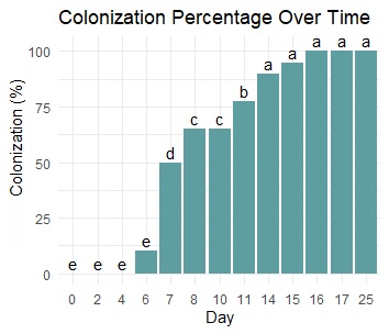 Colonization percentage
of mycelial growth in M3 over time
